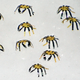 A photo showing a group of 12 tiny crab-like robots against a white background.